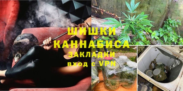 дмт Гусь-Хрустальный