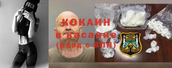амф Гусев