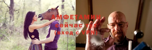 амф Гусев