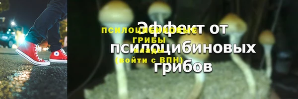 ГАЛЛЮЦИНОГЕННЫЕ ГРИБЫ Горно-Алтайск