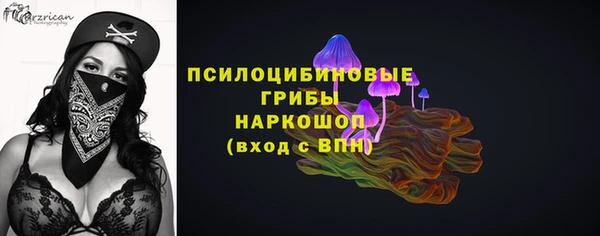 ГАЛЛЮЦИНОГЕННЫЕ ГРИБЫ Горно-Алтайск