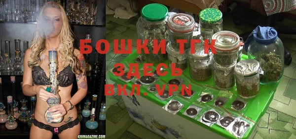 амф Гусев