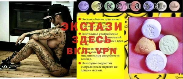 амф Гусев