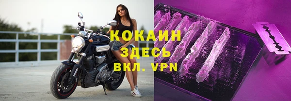 амф Гусев