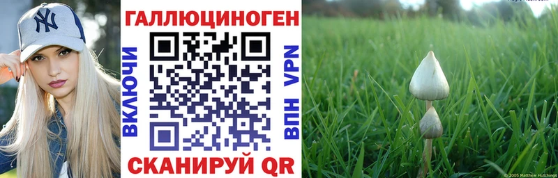 Галлюциногенные грибы GOLDEN TEACHER Дятьково