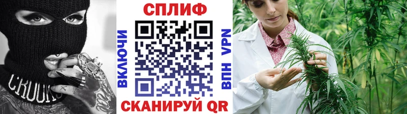Бошки марихуана Bruce Banner  купить   hydra tor  Дятьково 